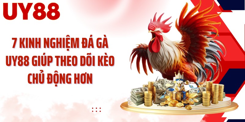 7 kinh nghiệm đá gà UY88 giúp theo dõi kèo chủ động hơn